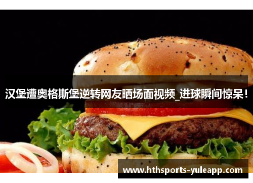 汉堡遭奥格斯堡逆转网友晒场面视频_进球瞬间惊呆！